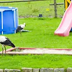 Bauernhof Karkonoskie Siodlo