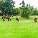 Karkonoskie Siodlo Bauernhof Kostrzyca