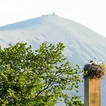 Karkonoskie Siodlo Bauernhof Kostrzyca