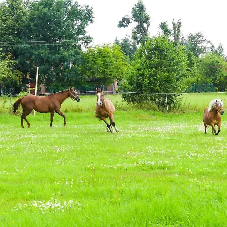 Karkonoskie Siodlo Çiftlik konaklama Kostrzyca