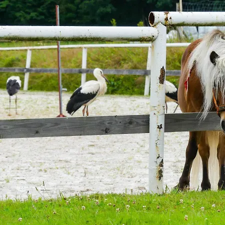 Karkonoskie Siodlo Çiftlik konaklama