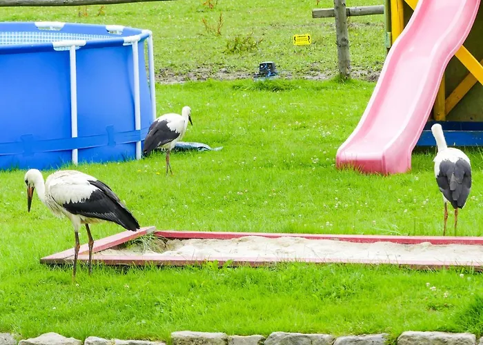 Фермерский дом Karkonoskie Siodlo