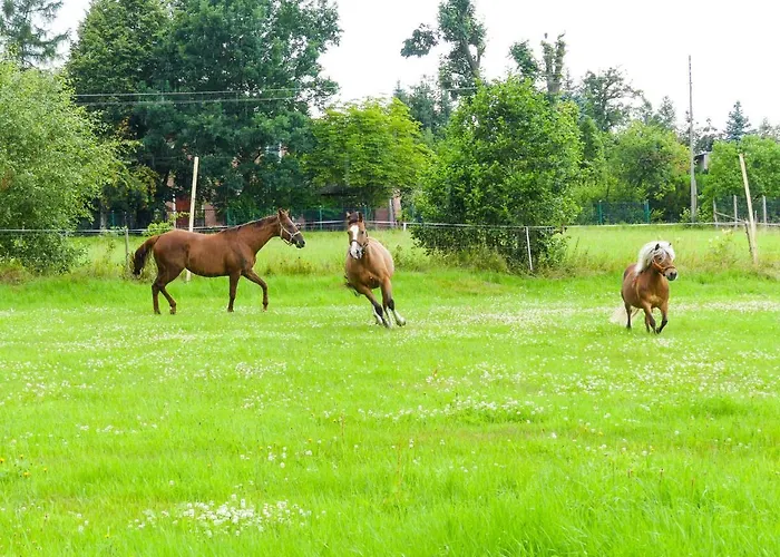 Karkonoskie Siodlo Çiftlik konaklama Kostrzyca