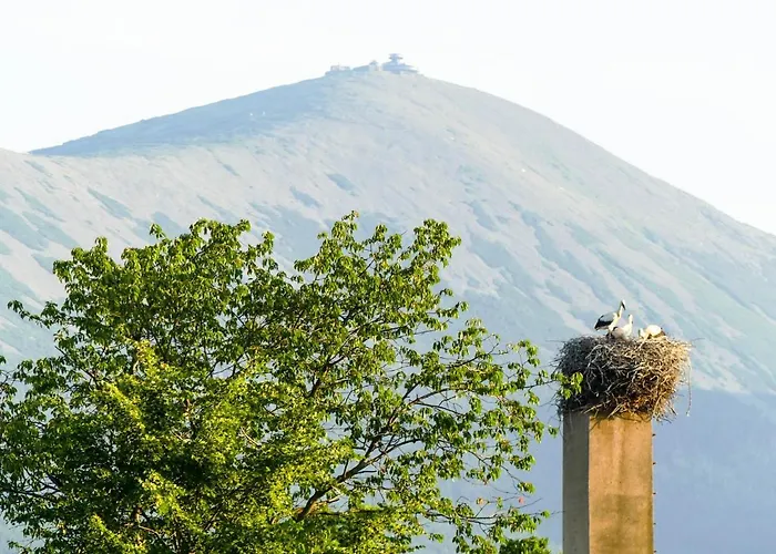 Karkonoskie Siodlo Çiftlik konaklama Kostrzyca