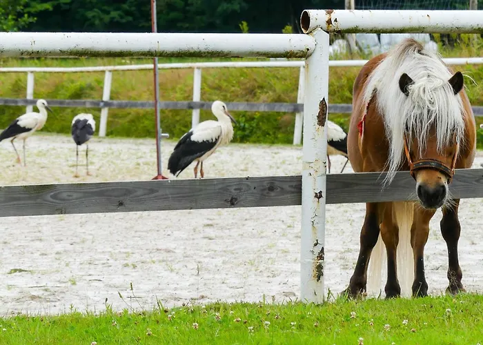 Karkonoskie Siodlo Фермерский дом