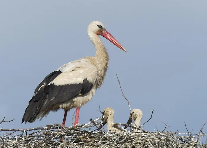 Karkonoskie Siodlo * Kostrzyca